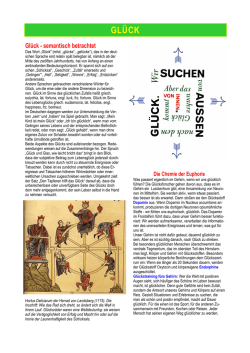 Gl&uuml;ck (Begriffe und Erfahrungen)