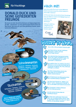 donald duck und seine gefiederten freunde
