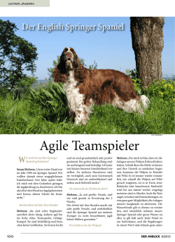 Agile Teamspieler