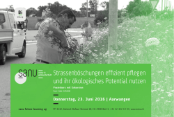 Strassenböschungen effizient pflegen und ihr ökologisches