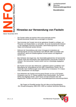 Hinweise zur Verwendung von Fackeln