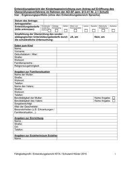 Formular f&uuml;r den Entwicklungsbericht aus der Kita