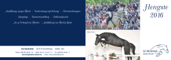 Hengste 2016 - Gut Buchenhof Daniel Dassler