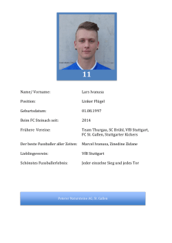 Lars Ivanusa - FC Steinach