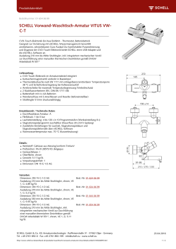 SCHELL Vorwand-Waschtisch-Armatur VITUS VW- C-T