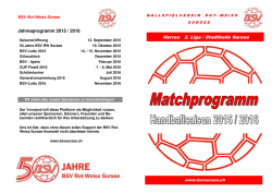 Herren 2. Liga / Stadthalle Sursee