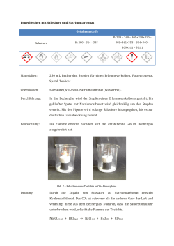 Feuerl&ouml;schen mit Salzs&auml;ure und Natriumcarbonat Gefahrenstoffe