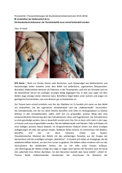 Grabmilben bei Wellensittich & Co. Die Bundesti