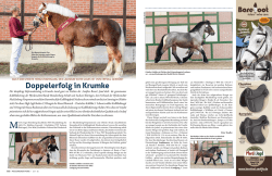 Doppelerfolg in Krumke