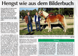Hengst wie aus (