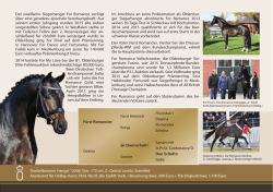 Dunkelbrauner Hengst *2009, Stm. 172 cm, Z.: Gest&uuml;t Lewitz