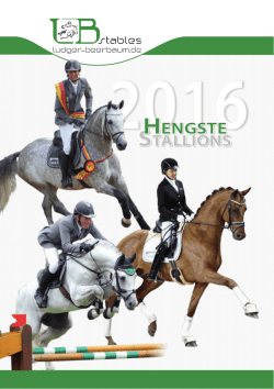 HengSte - Ludger Beerbaum