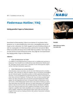 Fledermaus-Hotline / FAQ