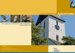 "Lebensraum Kirchturm", NABU Deutschland, 2005