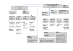 Organigramm Wupperverband (pdf | 42,7 KB)