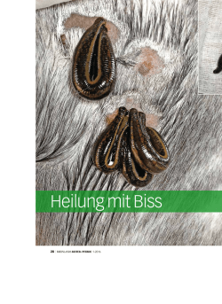 Heilung mit Biss
