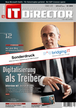 IT-Director 12/15