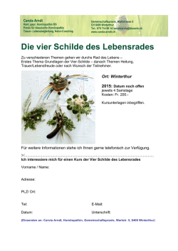 Die vier Schilde des Lebensrades