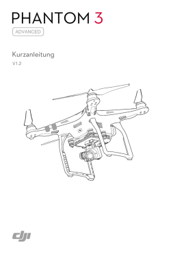 phantom 3 phantom 3