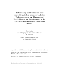 Entwicklung und Evaluation eines neurochirurgischen phantom