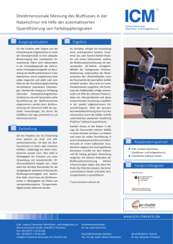 Dreidimensionale Messung des Blutflusses in der Nabelschnur mit