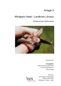 Fachgutachten Fledermäuse - Windpark Hasel (2,0 MB ) PDF