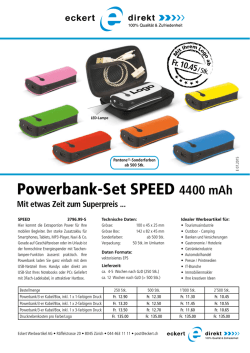 Powerbank-Set SPEED 4400 mAh