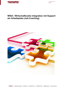 WISA (Wirtschaftsnahe Integration mit Support am