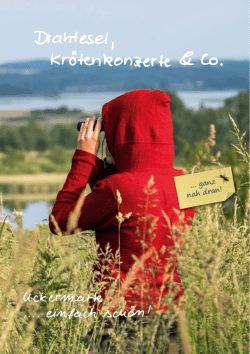 Drahtesel, Kr&ouml;tenkonzerte & Co.