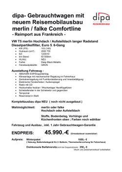 dipa- Gebrauchtwagen mit neuem Reisemobilausbau merlin / falke