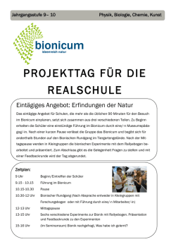 Infoblatt Projekttage