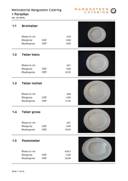Mietmaterial Mangosteen Catering 1 Porzellan