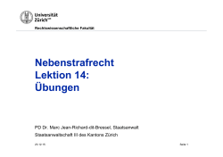 Nebenstrafrecht Lektion 14: Übungen