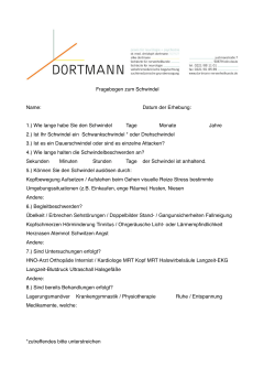 Fragebogen Schwindel