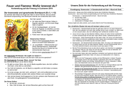 Feuer und Flamme: Wof&uuml;r brennst du?