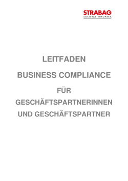 Leitfaden Business Compliance für Geschäftspartnerinnen und