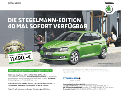 DIE STEGELMANN-EDITION 40 MAL SOFORT VERF&Uuml;GBAR