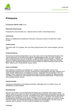 Primavera - Holz vom Fach