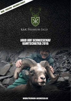 Kamtschatka Schneeschaf - Jagdreisen - K&K