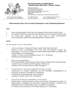 Infoblatt Erziehungskurs