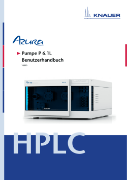 HPLC Pumpe P 6.1L Benutzerhandbuch