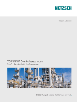 TORNADO® Drehkolbenpumpen - NETZSCH Pumpen & Systeme
