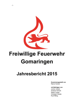 Jahresbericht der Gesamtwehr 2015 als PDF