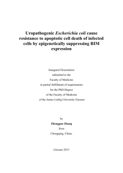 Uropathogenic Escherichia coli cause resistance to apoptotic cell