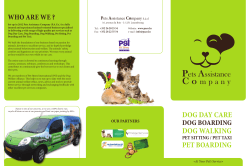 dog day care dog walking - Pets Assistance Company