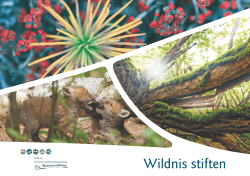 Wildnis stiften - Stiftung Naturlandschaften Brandenburg