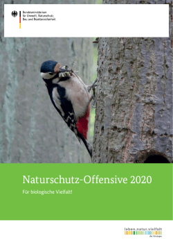 Naturschutz-Offensive 2020 - BMUB