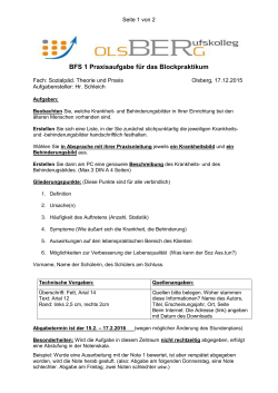 BFS 1 Praxisaufgabe für das Blockpraktikum