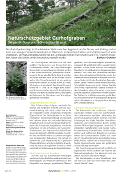 NB Gurhofgraben 03 2..