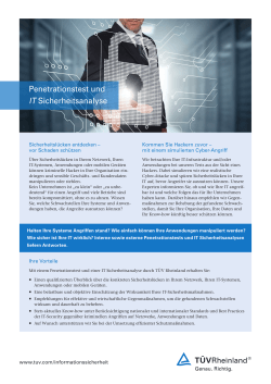 Flyer Penetrationstest und IT Sicherheitsanalyse